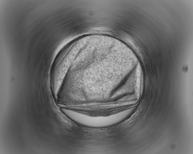 X0000098011336200804251106