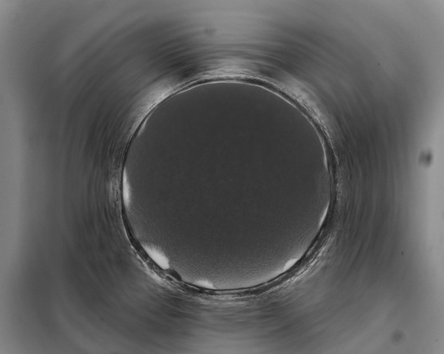 X0000098011337200804251106