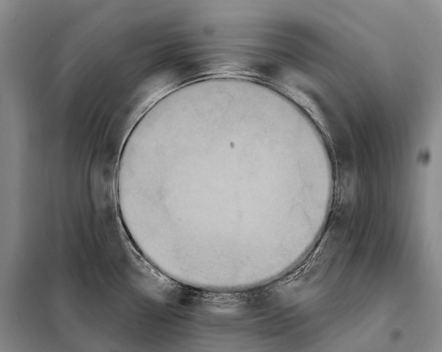 X0000098011338200804251106