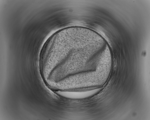 X0000098011339200804251106