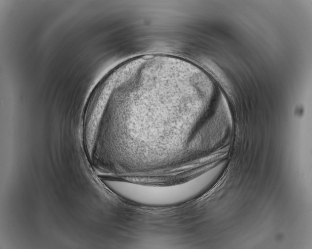 X0000098011340200804251106