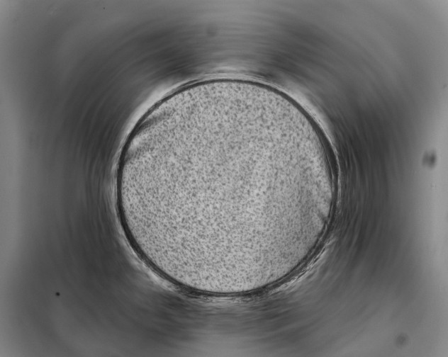 X0000098011341200804251106