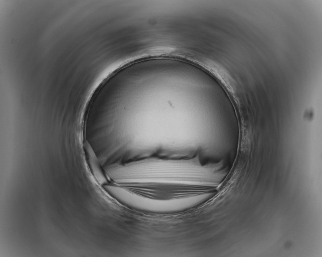 X0000098011342200804251106