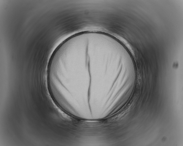 X0000098011343200804251106