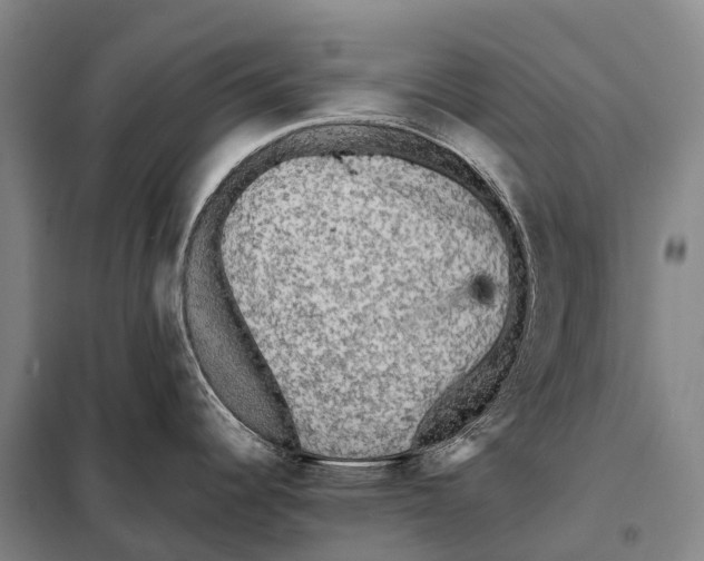 X0000098011344200804251106