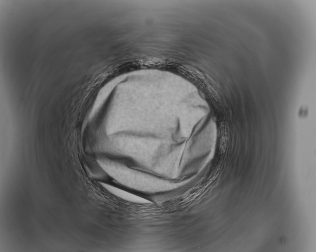 X0000098011345200804251105