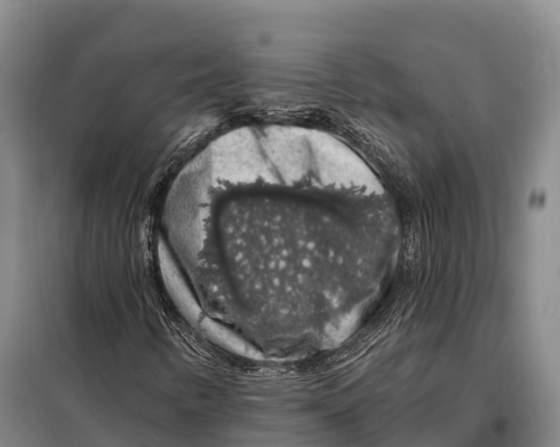 X0000098011346200804251105