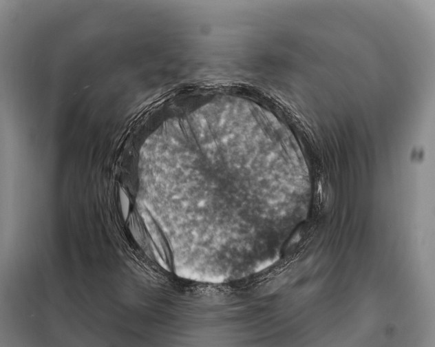 X0000098011348200804251105