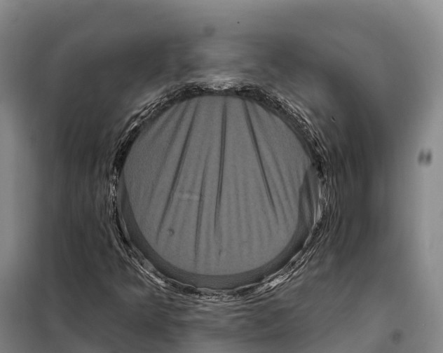 X0000098011349200804251105