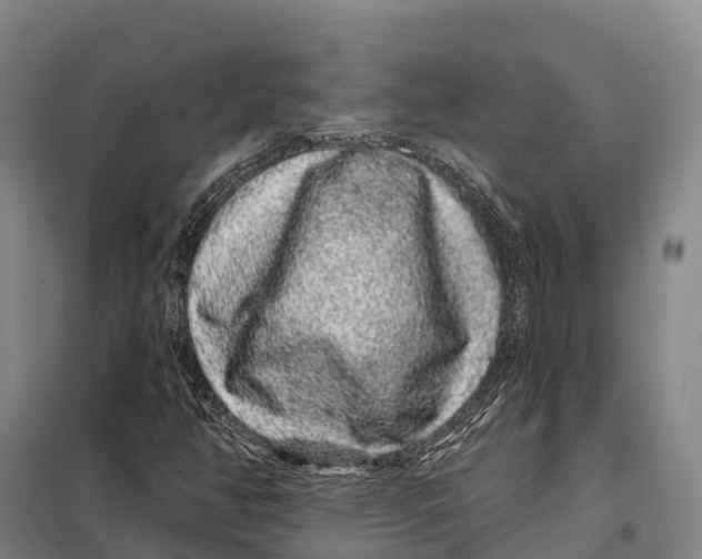 X0000098011350200804251105