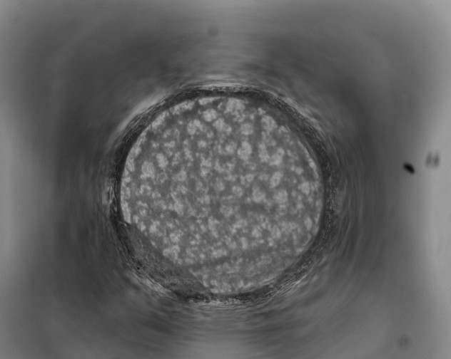 X0000098011351200804251105