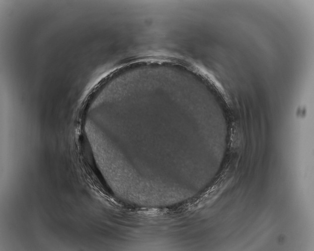 X0000098011352200804251105