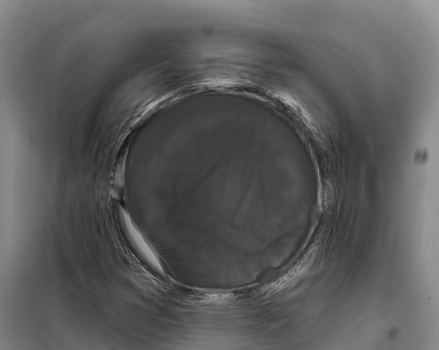 X0000098011353200804251105