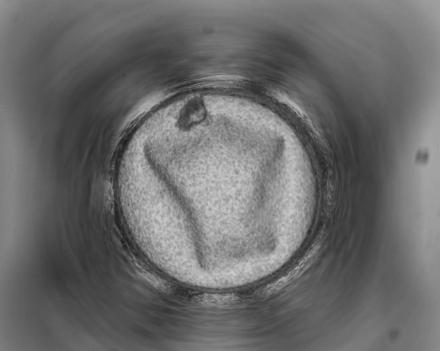 X0000098011354200804251105