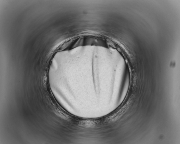 X0000098011355200804251105