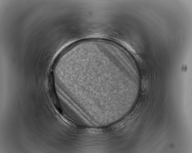 X0000098011356200804251105