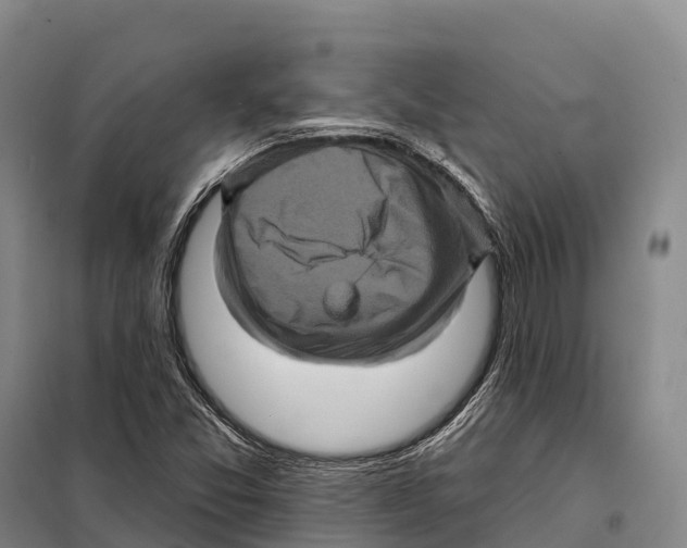 X0000098011357200804251105