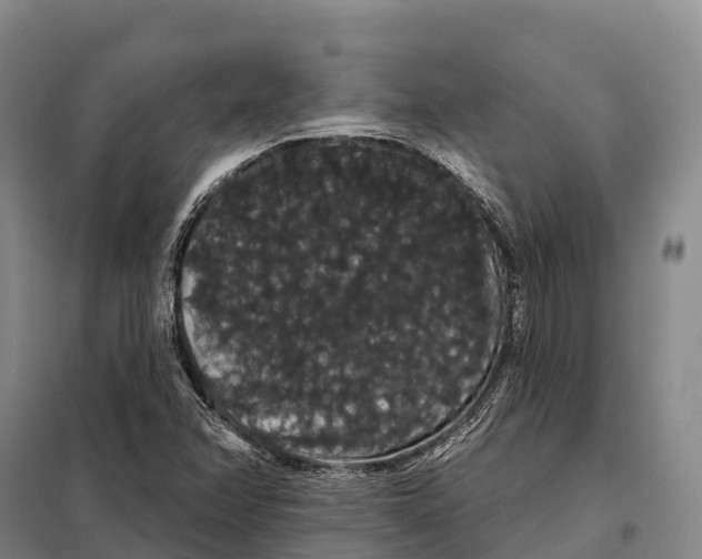 X0000098011358200804251105