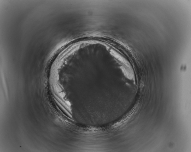 X0000098011359200804251105