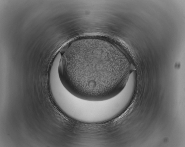 X0000098011361200804251105