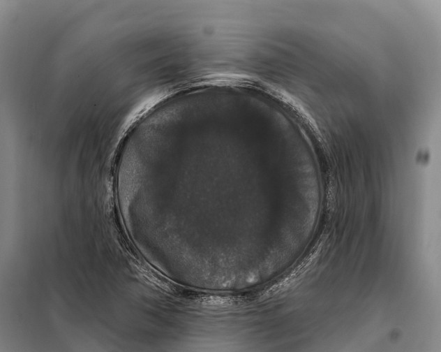 X0000098011362200804251105