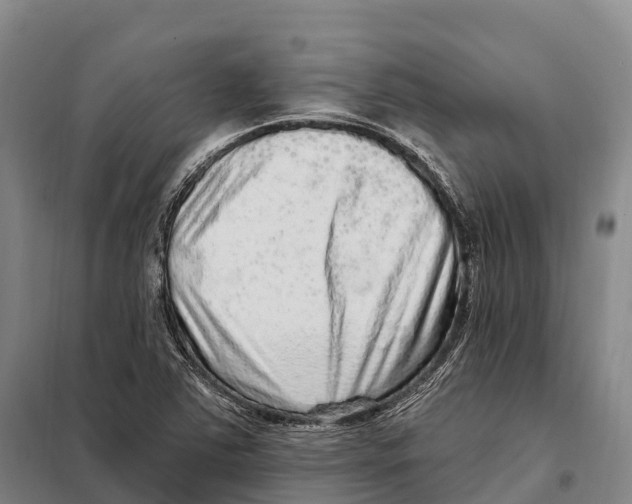 X0000098011363200804251105