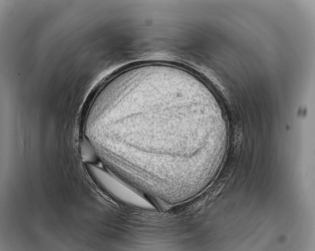 X0000098011364200804251105