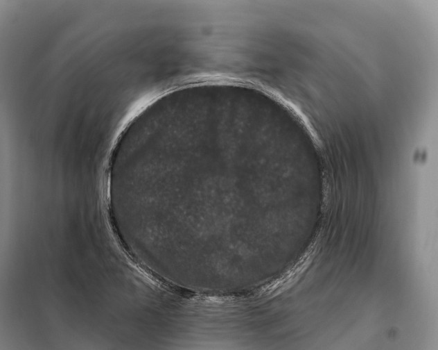 X0000098011365200804251105