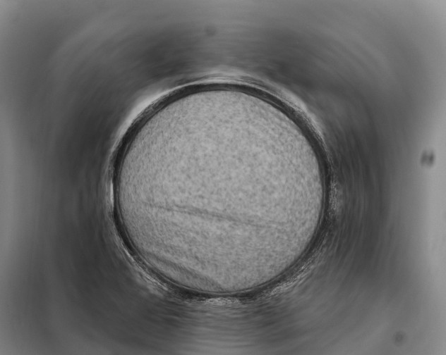 X0000098011368200804251105