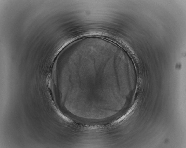 X0000098011369200804251105