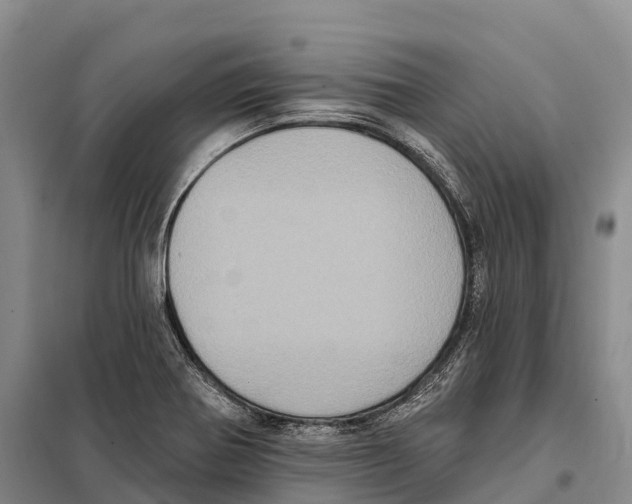 X0000098011370200804251105