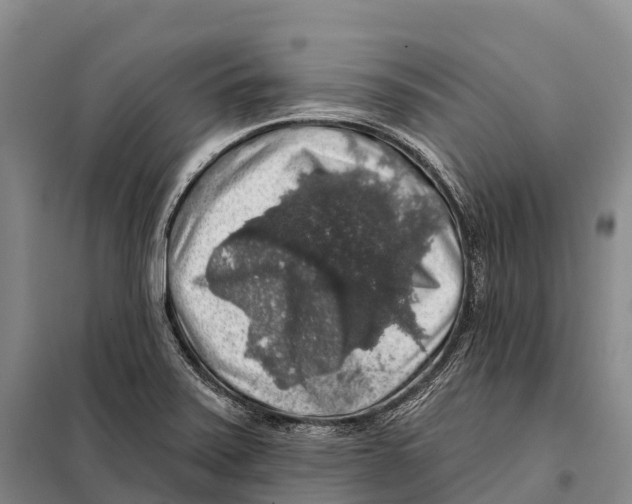 X0000098011371200804251105