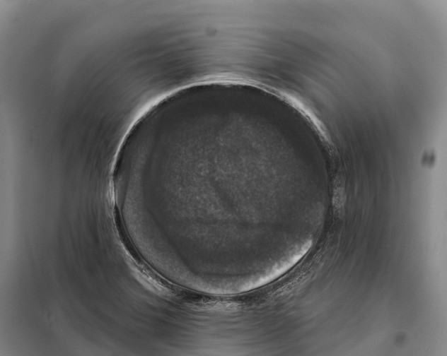 X0000098011372200804251105