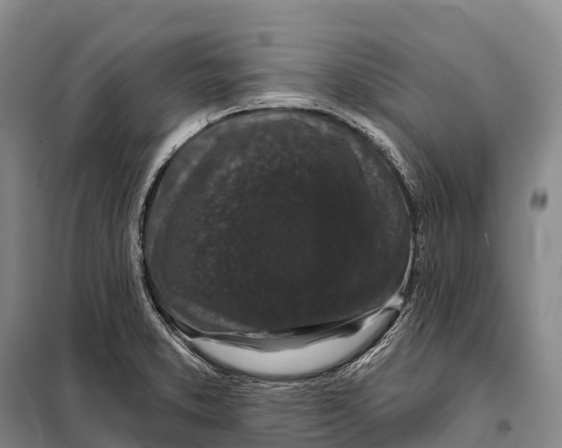 X0000098011373200804251105