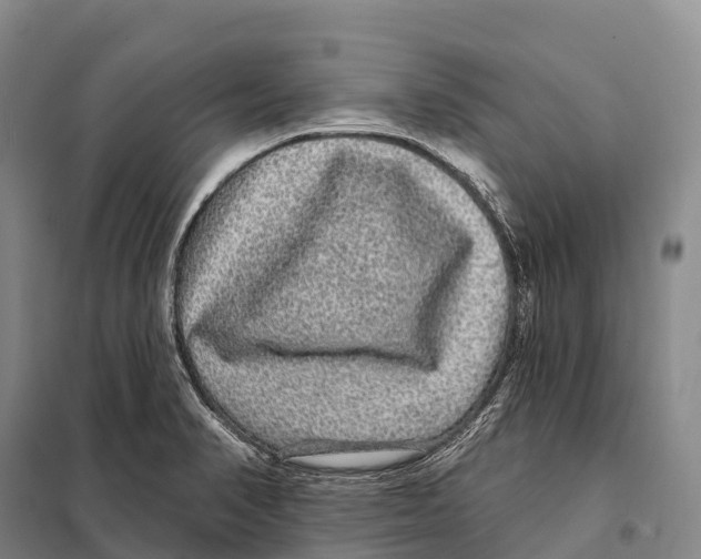 X0000098011374200804251105