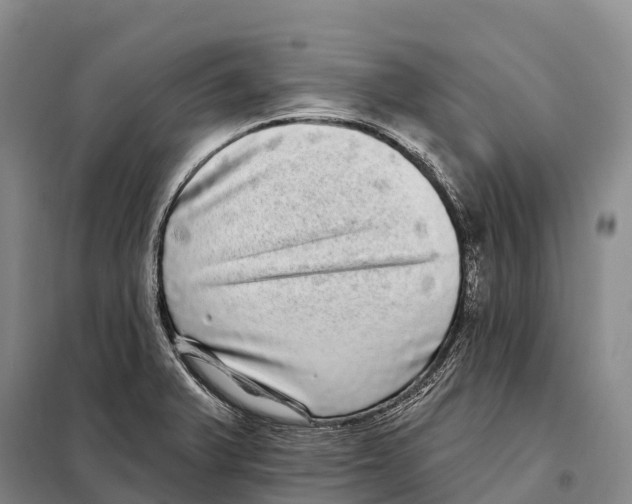 X0000098011375200804251105