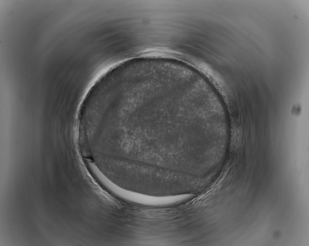 X0000098011376200804251105