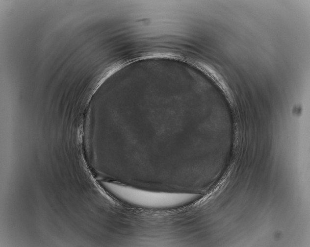 X0000098011377200804251105