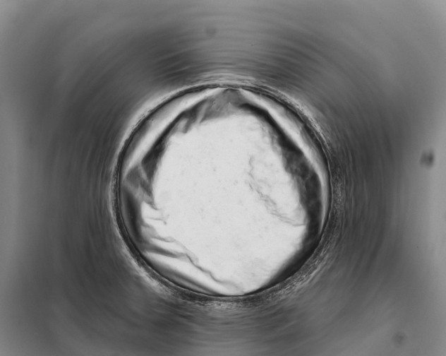 X0000098011379200804251104