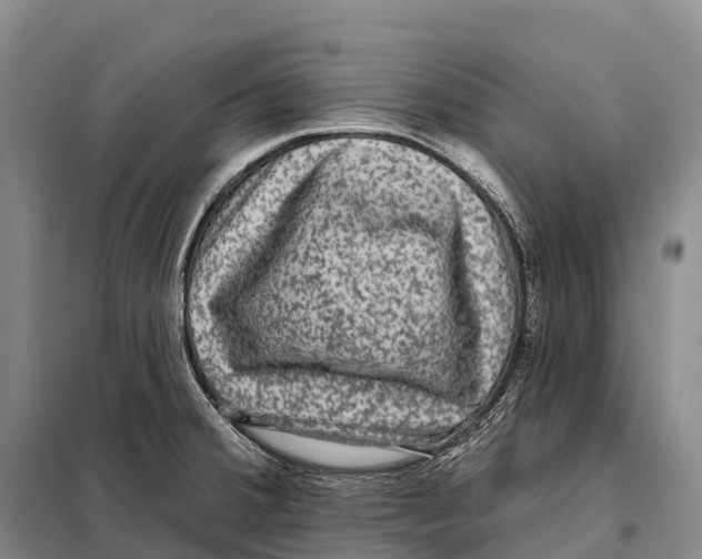 X0000098011380200804251104