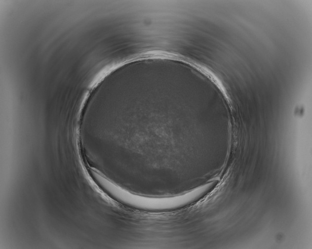 X0000098011381200804251104