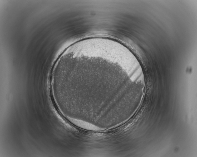 X0000098011382200804251104