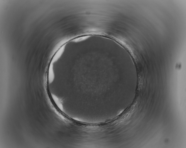 X0000098011383200804251104