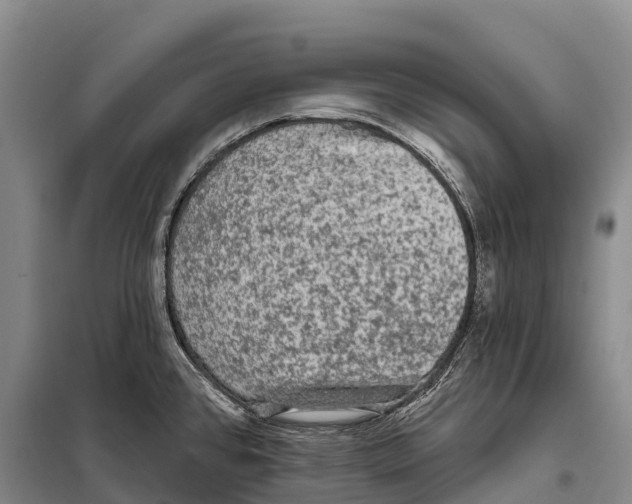 X0000098011384200804251104