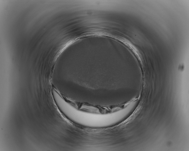 X0000098011385200804251104