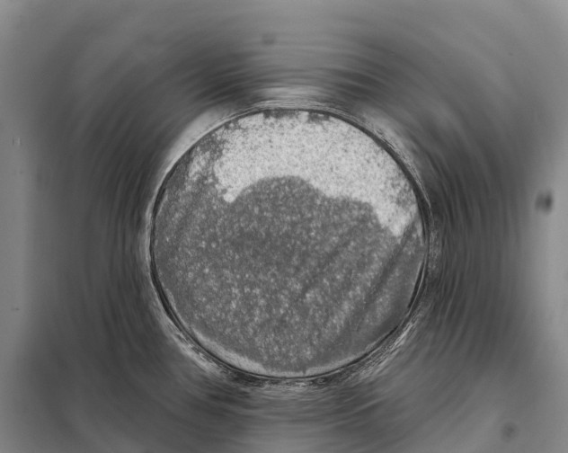 X0000098011386200804251104