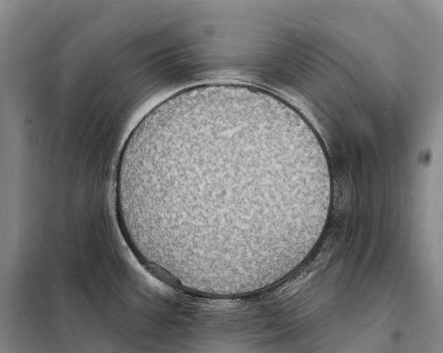 X0000098011387200804251104