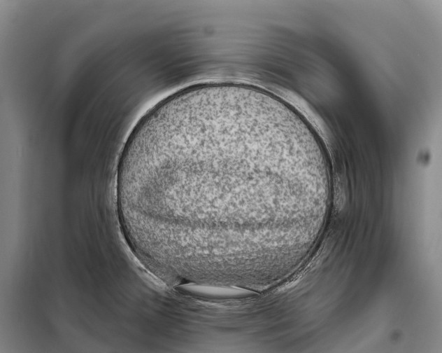 X0000098011388200804251104