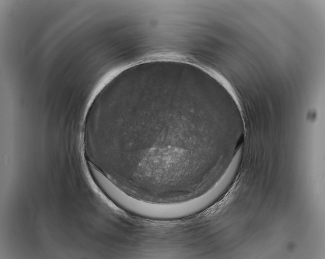 X0000098011389200804251104