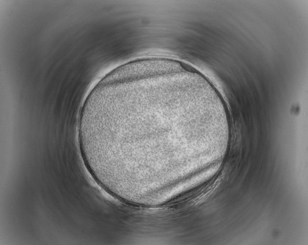 X0000098011390200804251104